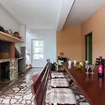 Cvita