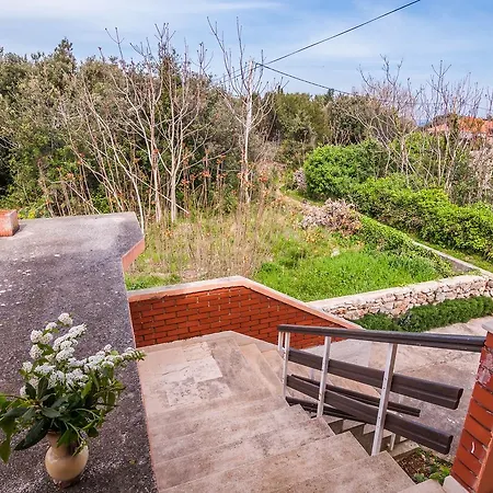Apartment Cvita *