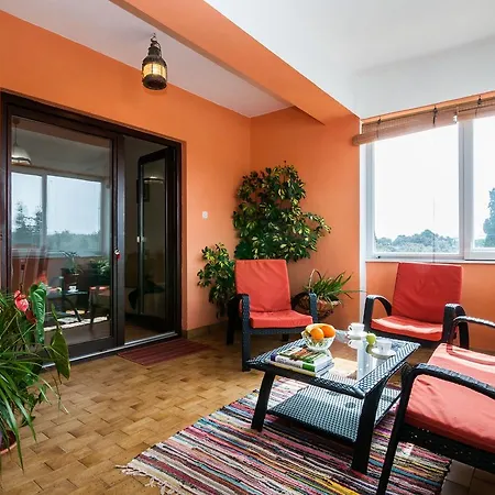Apartment Cvita Ugljan