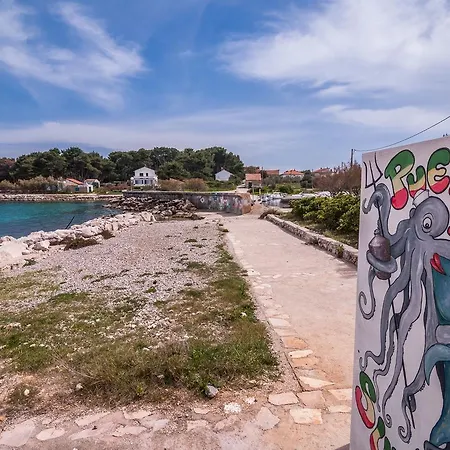 Cvita Apartman Ugljan